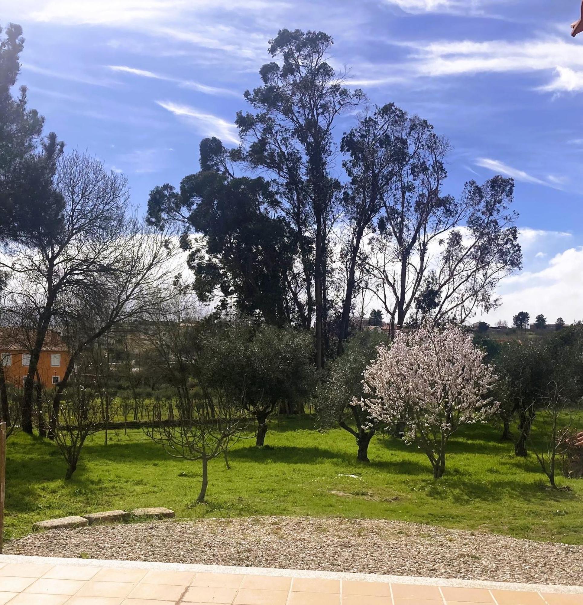 Ar Da Beira - Serra Da Estrela Belmonte  Exterior foto